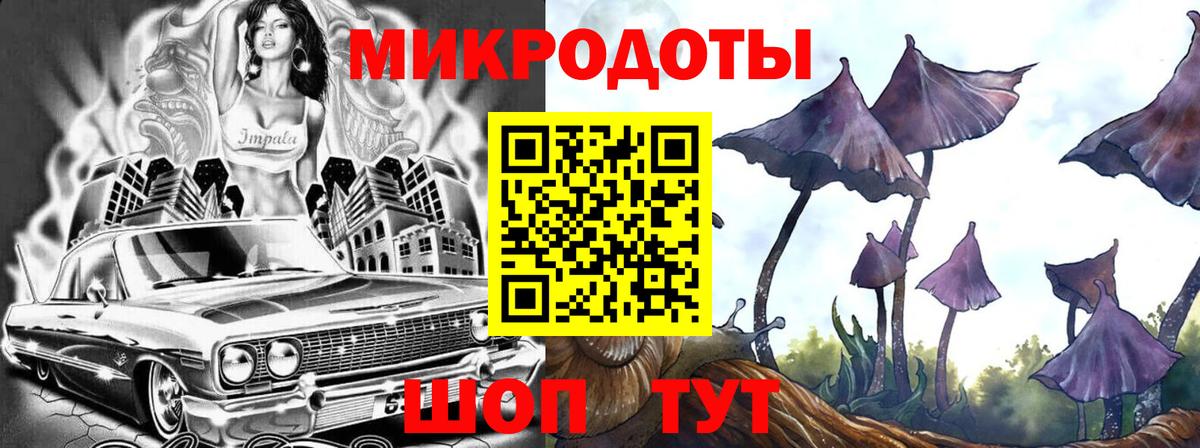 Галлюциногенные грибы Cubensis Новый Уренгой